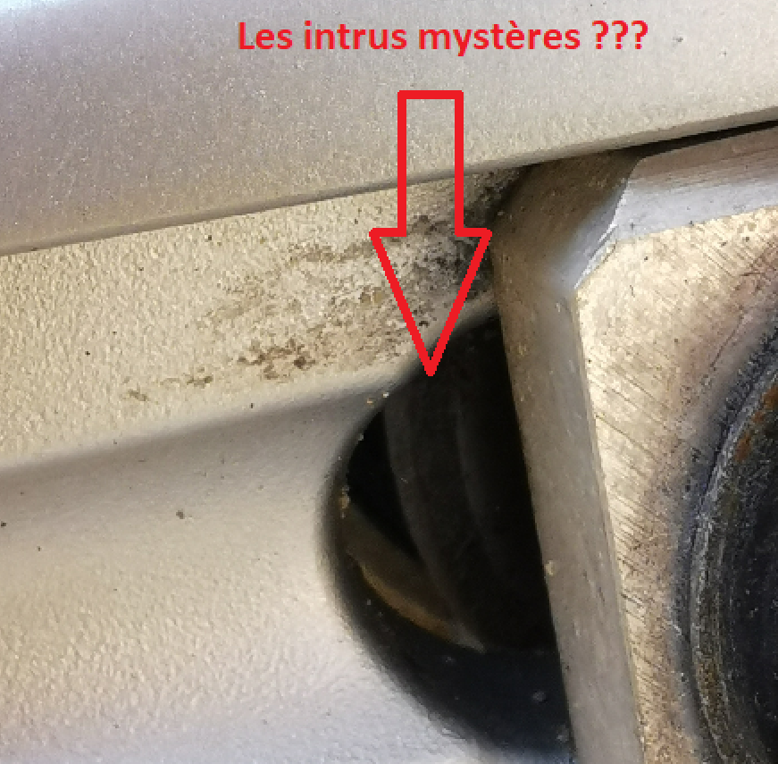 Les intrus mystères honda.PNG