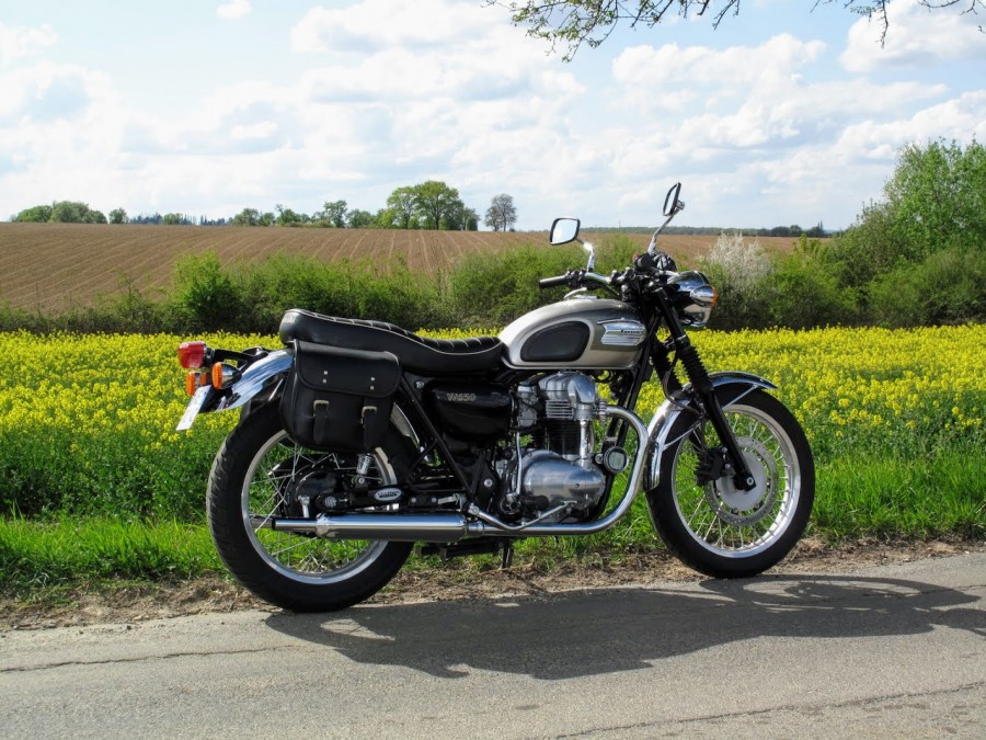 w650.JPG