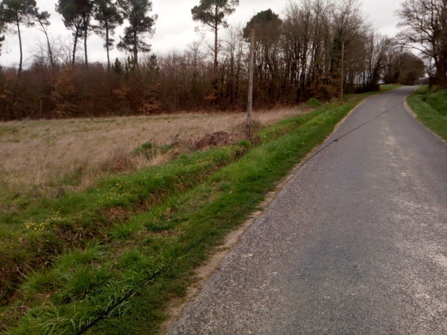 Le câble en travers de la route