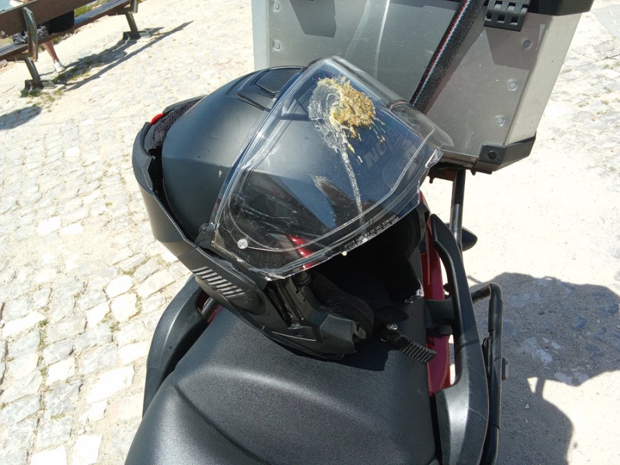 une mouette s'est lâchée sur mon casque
