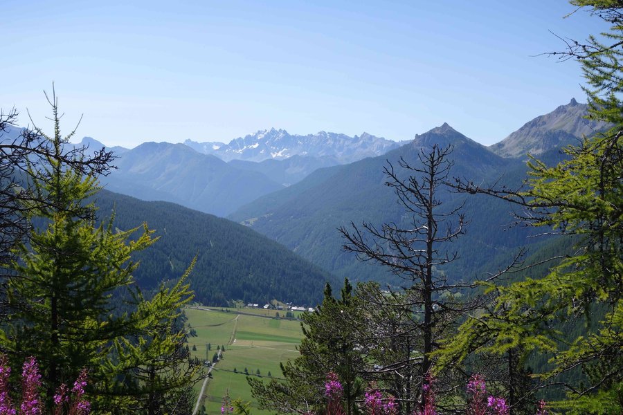 Durant la montée au col de l'Izoard