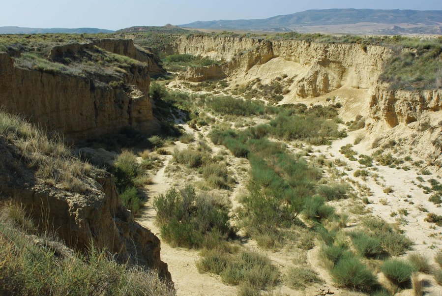 Las Bardenas