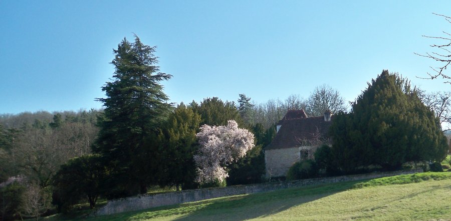 Vue d'ensemble de la maison maternelle