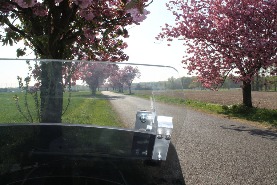 IMG_2833.JPG (5.82 Mio) Vu 6548 fois Le déflecteur ne déforme pas la vue (position moyenne)