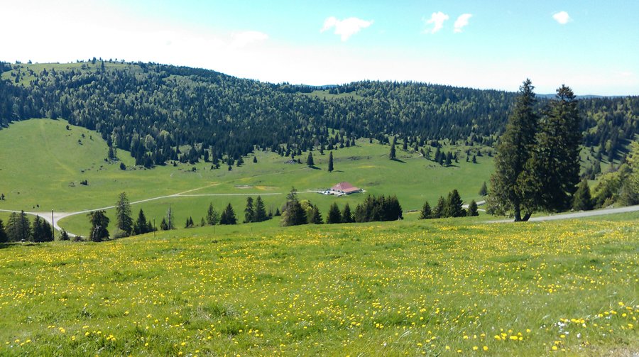 En route vers la buvette d'alpage