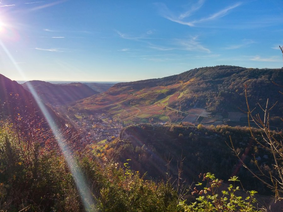 2015-11-08 15.55.52.jpg