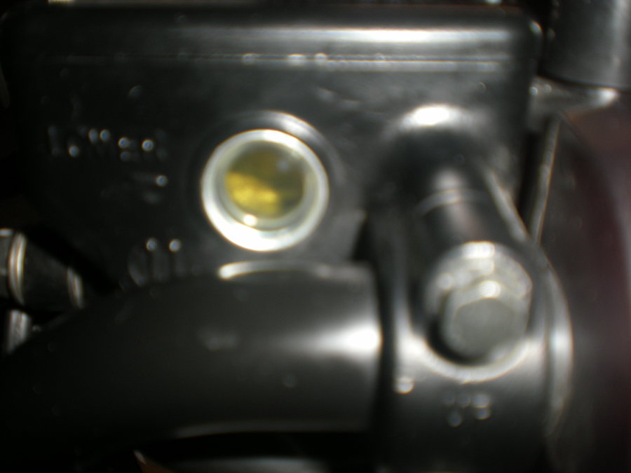 DSCN3117.JPG