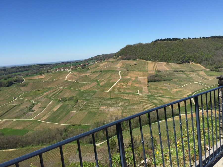 le vignoble depuis Château-Chalon