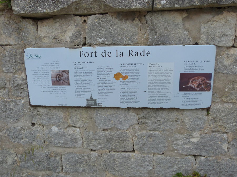 P1140429.JPG
