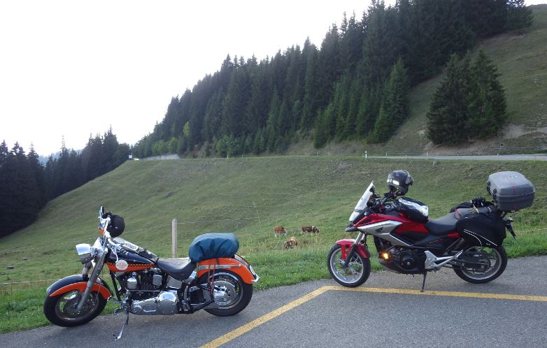 N3.JPG